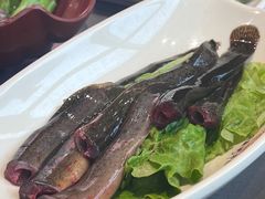 泥鳅-洞子口重庆鲜货火锅(楚翘城旗舰店)