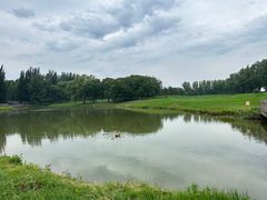 -北京京辉高尔夫俱乐部有限公司