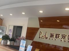 -派联宠物医院·24h·CT·异宠