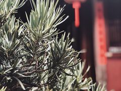-许驸马府