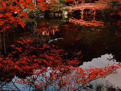 -醍醐寺