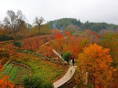 -塔川景区