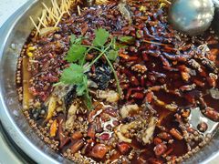 -麻辣巅峰美蛙鱼头火锅(犀浦店)