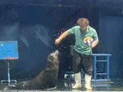 -苏州海洋馆