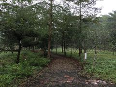 -田野绿世界