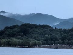 -湖畔居茶楼(湖滨店)