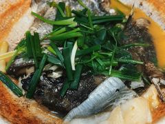 啫啫鸦片鱼头-金龙·打边炉(武进路店)