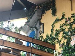 露天位-屋顶花园餐厅(步行街老地王大厦店)
