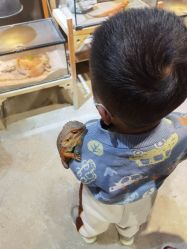 -酷嗒动物文化乐园(cutezoo西溪乐天城店)