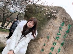 -香雪海