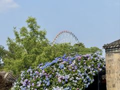 -无锡蠡湖国家湿地公园-蠡园