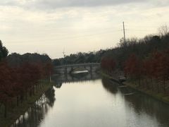 -上海海湾国家森林公园