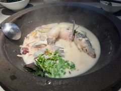-鲜潭蒸汽石锅鱼(五道口购物中心店)