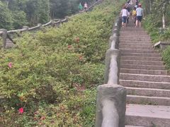 -梧桐山风景名胜区