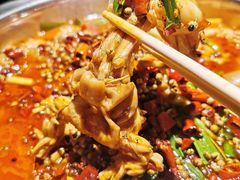 -宽口美蛙鱼头(大唐西市店)