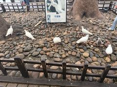 -杭州湖滨in77