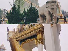 -洛阳白马寺