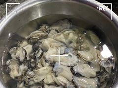生蚝-花苑美食横琴生蚝火锅(拱北粤华路店)