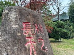 -绳金塔