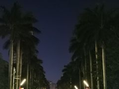 -万绿园