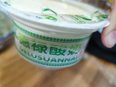 -德禄酸奶(莫家街店)