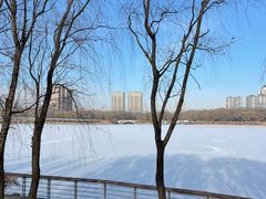 -长白岛森林公园