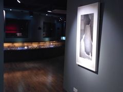 -那美(华莱坞店)