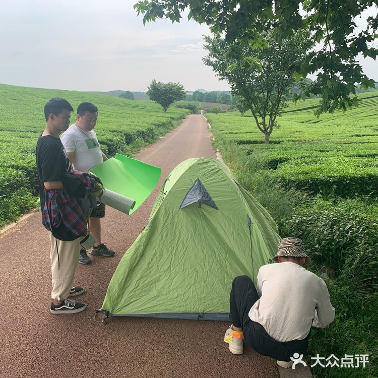 位于花溪的羊艾茶场，非常推荐大家伙去看看