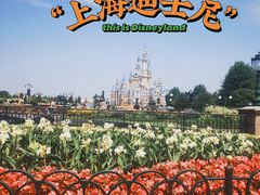 -上海迪士尼度假区
