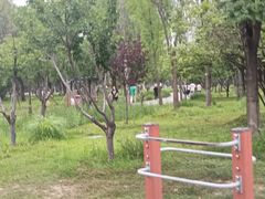 -回龙观体育文化公园