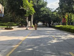 -厦门大学(思明校区)