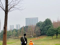 -成都保利公园皇冠假日酒店(熊猫基地店)