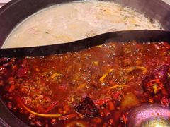 -朱光玉火锅馆(正弘城店)