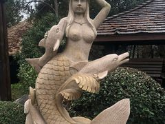 -天目湖涵田半山温泉