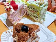 -维尔纳斯·生日蛋糕·动物奶油冰淇淋蛋糕(六里桥店)