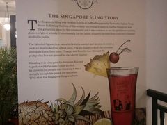 -Long Bar(莱佛士酒店)