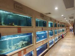 水产区-顺峰(农展馆店)