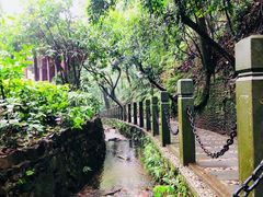 -十八棵（老龙井）御茶园(老龙井店)