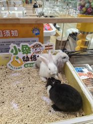 -小象动悟公园(龙湖亦庄天街店)