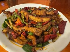 -柴窝堡22号辣子鸡·传承新疆菜