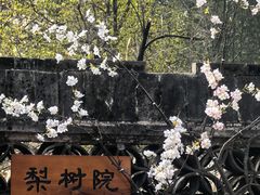 -潭柘寺景区