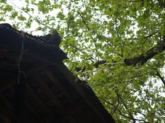 -阿哈湖国家湿地公园