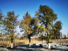 -春花秋色城市公园