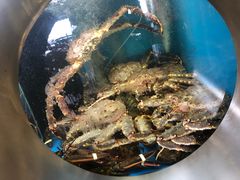 -珍宝海鲜(东海岸海鲜中心)