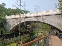 -白水寺森林公园