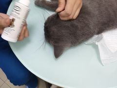 -宠福鑫康馨动物医院·骨科·眼科