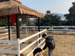 -宁波九龙湖开元度假村