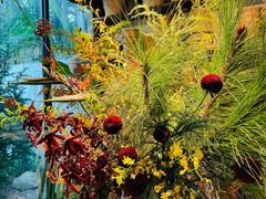 -自由生长植物工作室(深港花卉中心店)