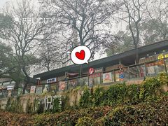 -茶颜悦色(岳麓山顶店)