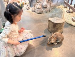 -Zoolung Zoolung动物主题公园(海信广场店)